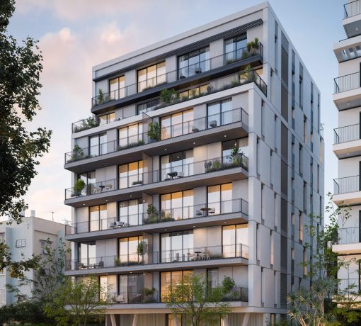 הדמיית פרויקט