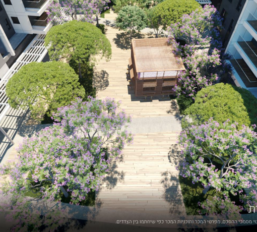 הגפן פרגולה